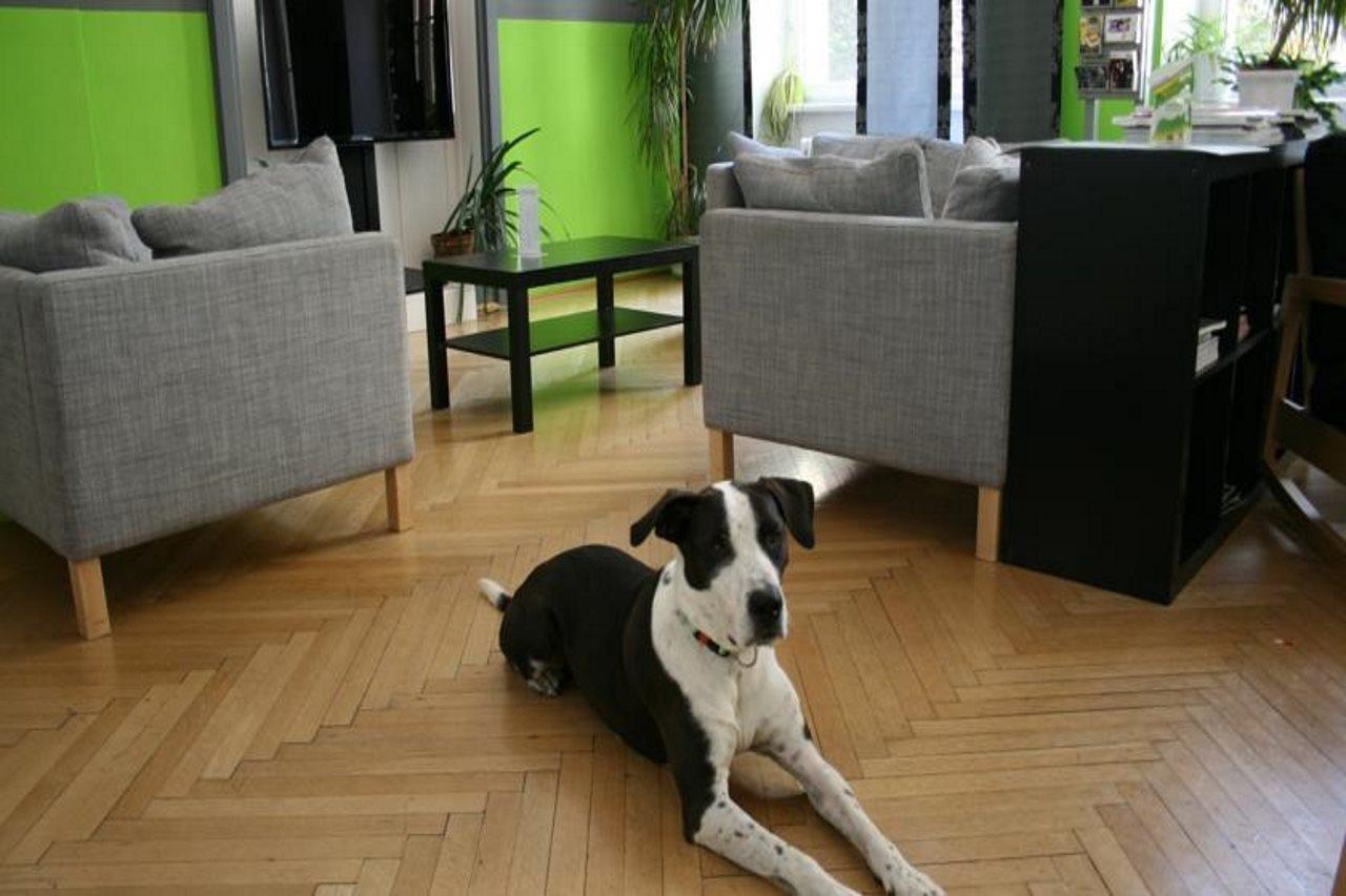 Hostel & Guesthouse Kaiser 23 Виена Екстериор снимка